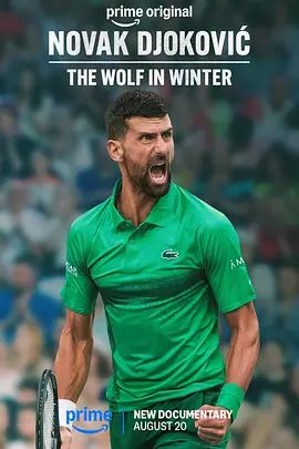 诺瓦克·德约科维奇：凛冬孤狼海报